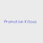 Agence immobiliere Promotion Kitous
